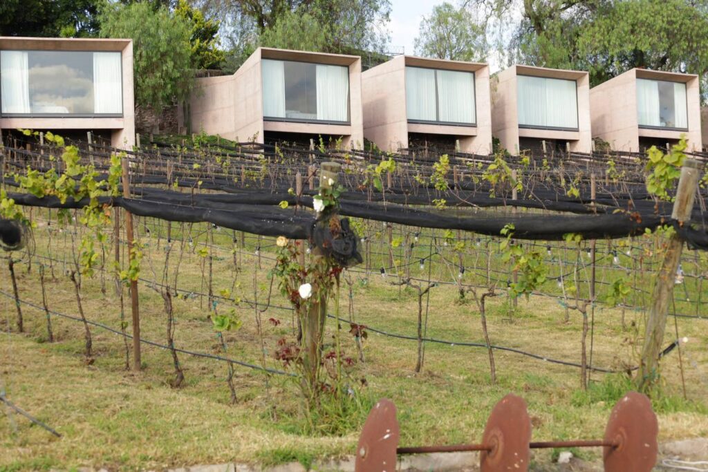 Viñedos Hotel Hacienda Lagunillas, Huimilpan Querétaro