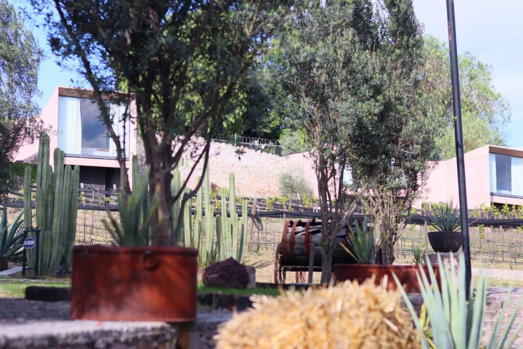 Viñedos Hotel Hacienda Lagunillas, Huimilpan Querétaro