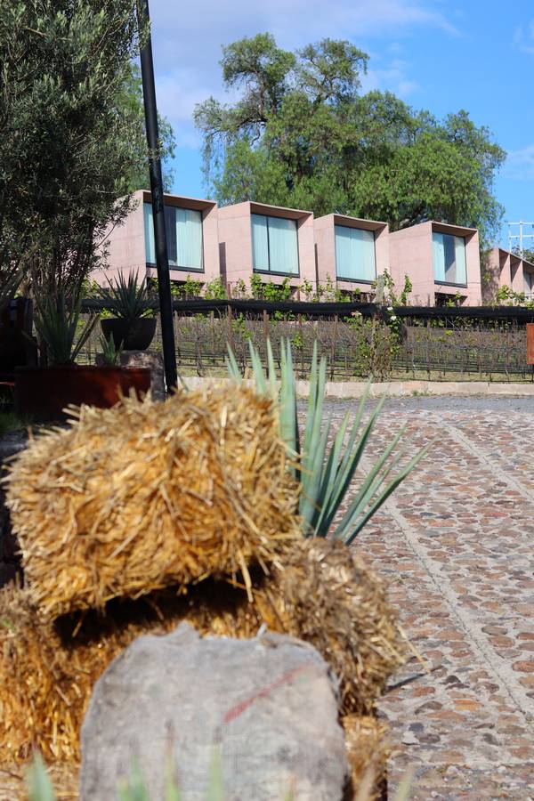 Viñedos Hotel Hacienda Lagunillas, Huimilpan Querétaro