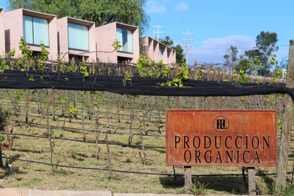 Viñedos Hotel Hacienda Lagunillas, Huimilpan Querétaro